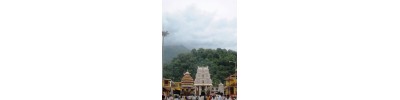 ஸ்ரீ சுப்பிரமண்யம் - கர்நாடகா